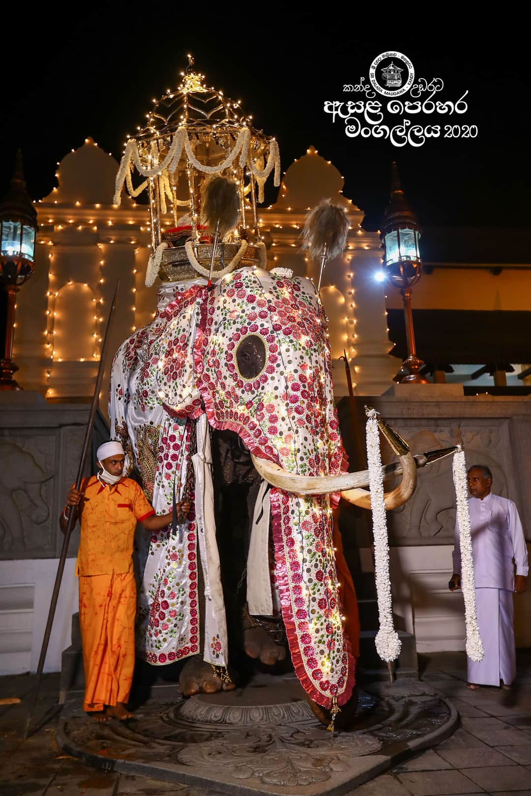Pictures : Historical Kandy Esala Perahera begins without spectators