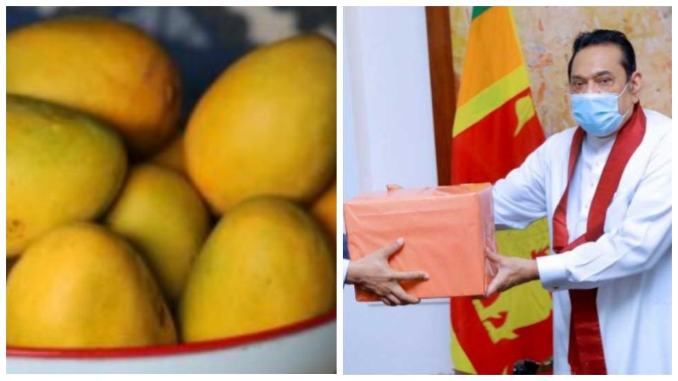 'Mango diplomacy’ Bangladesh PM Sheikh Hasina gifts mangoes to PM