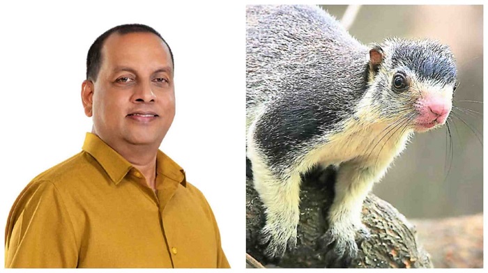 National animal status of giant squirrel : Update from minister - NewsWire