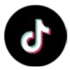Terror group supporters posted on TikTok, YouTube and Google