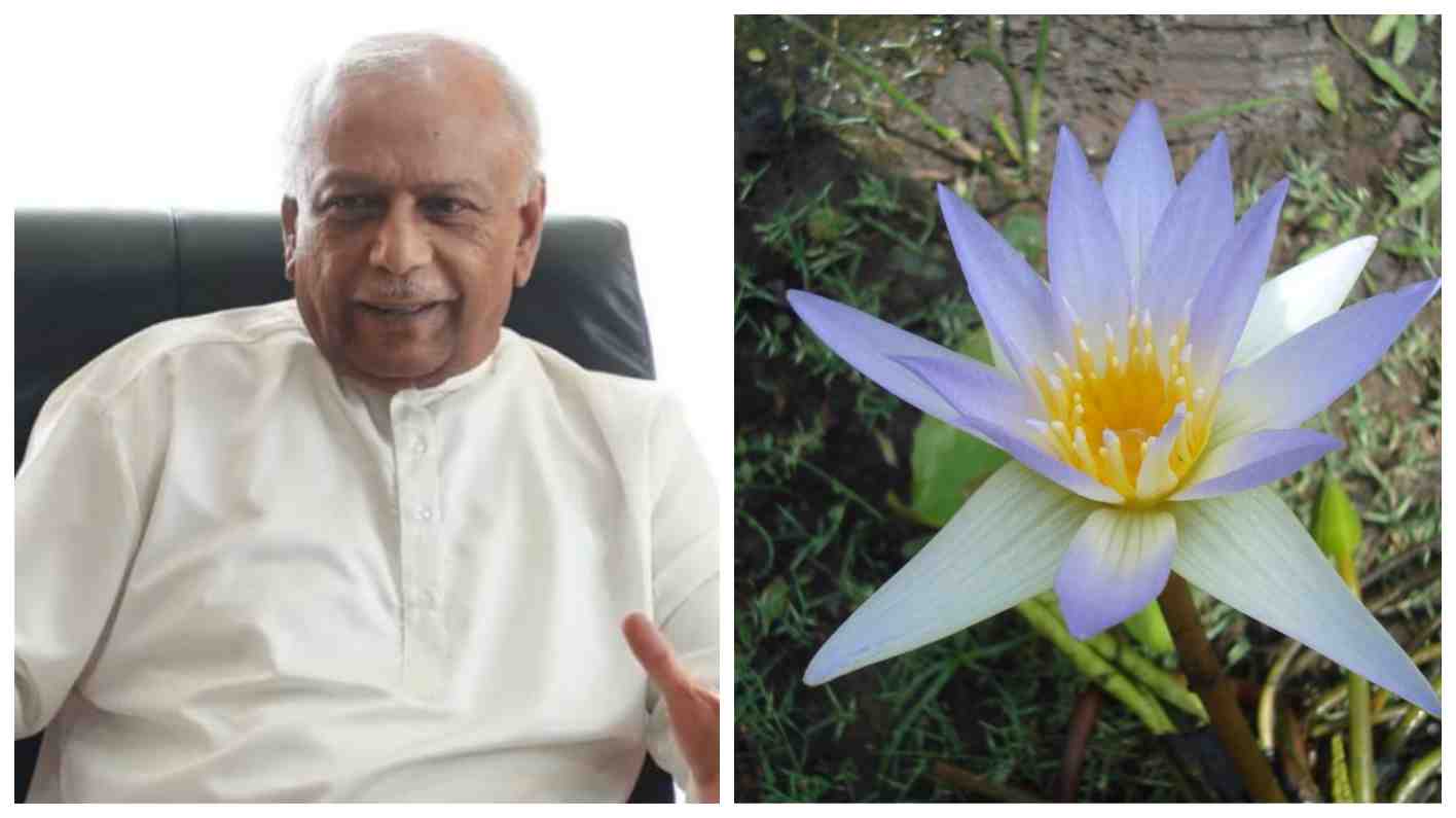 Mahanel?’ or ‘Nil Mahanel? ’ PM appoints committee Newswire