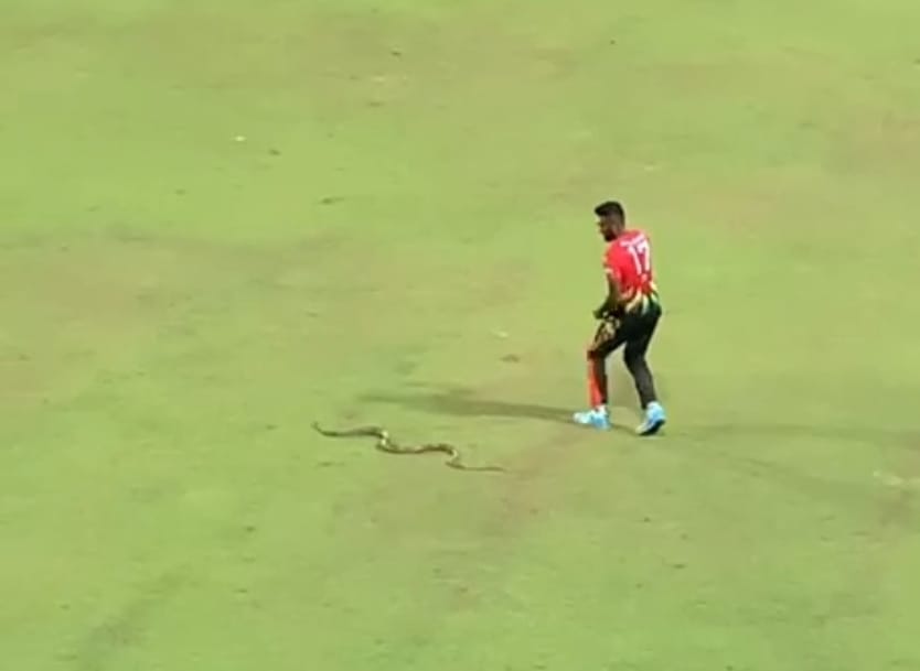 Watch: Snake trouble continues in LPL, pacer Isuru Udana makes