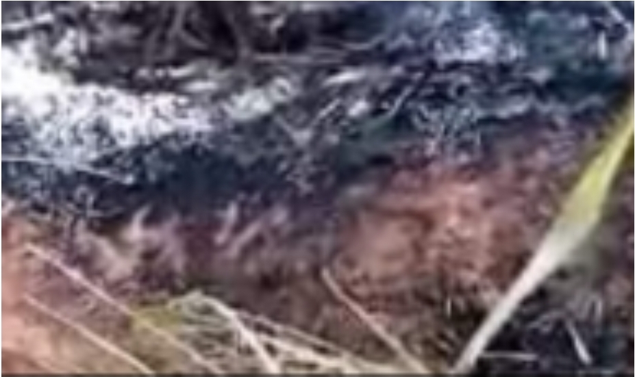 Police finds dead body set on fire with tyres in Dambulla NewsWire