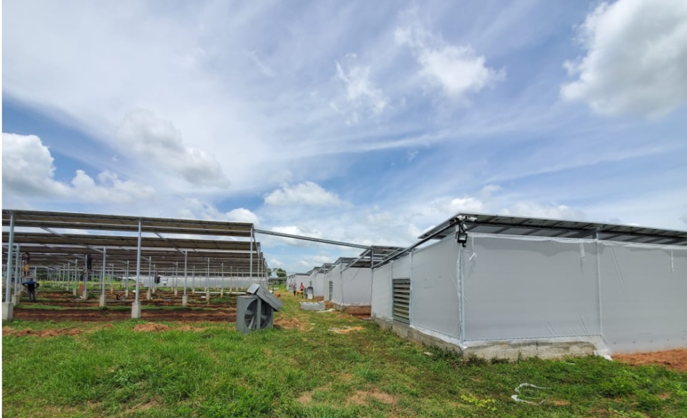 Saaraketha modernizing Sri Lankan agriculture through Agri Tech NewsWire