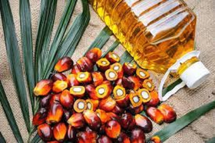 Palm-oil.jpg