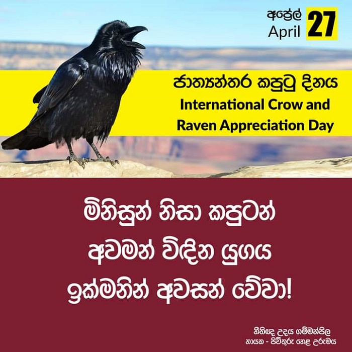 Gammanpila releases message for International Crow Day