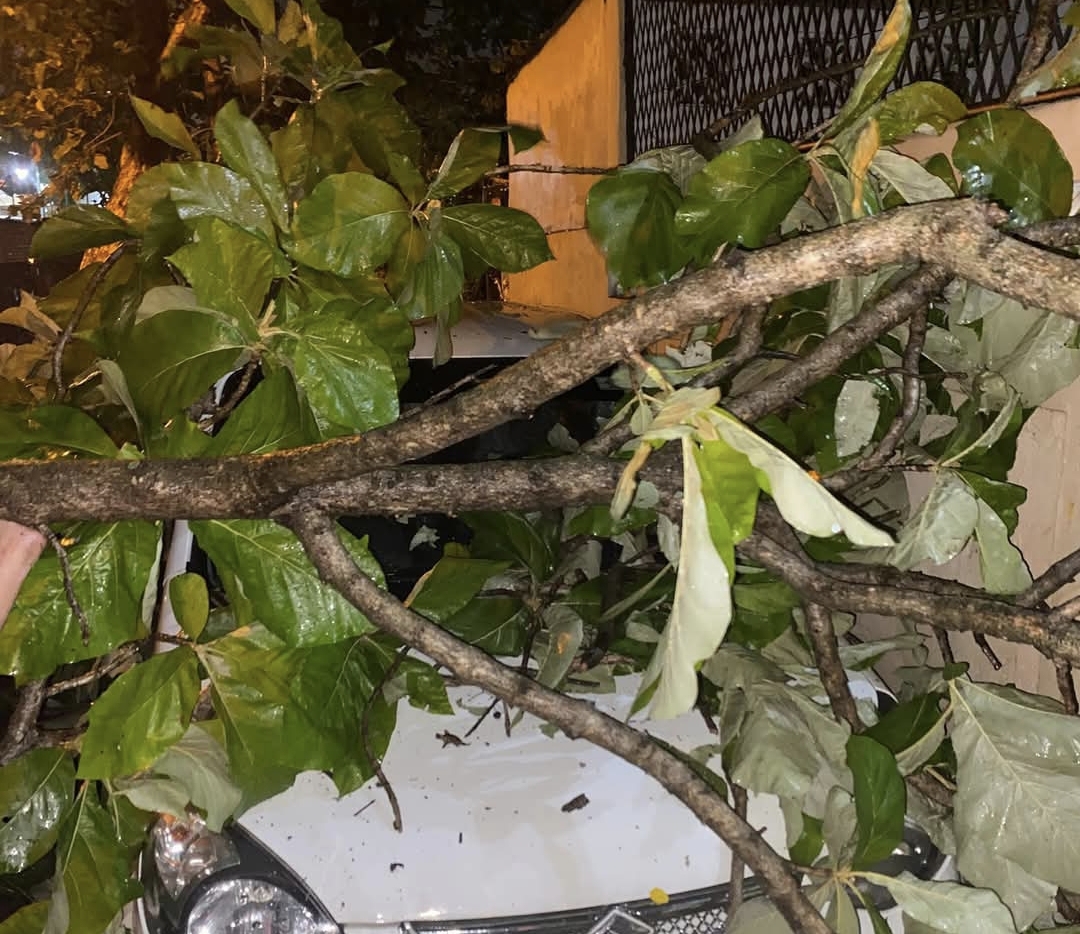 Strong Winds Cause Chaos Across Colombo (Video)