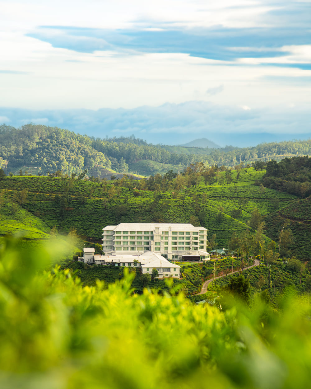 Waking Up to Tea Country: A Morning on the Pekoe Trail