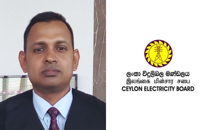 Prof. Udayanga Hemapala appointed new CEB Chairman