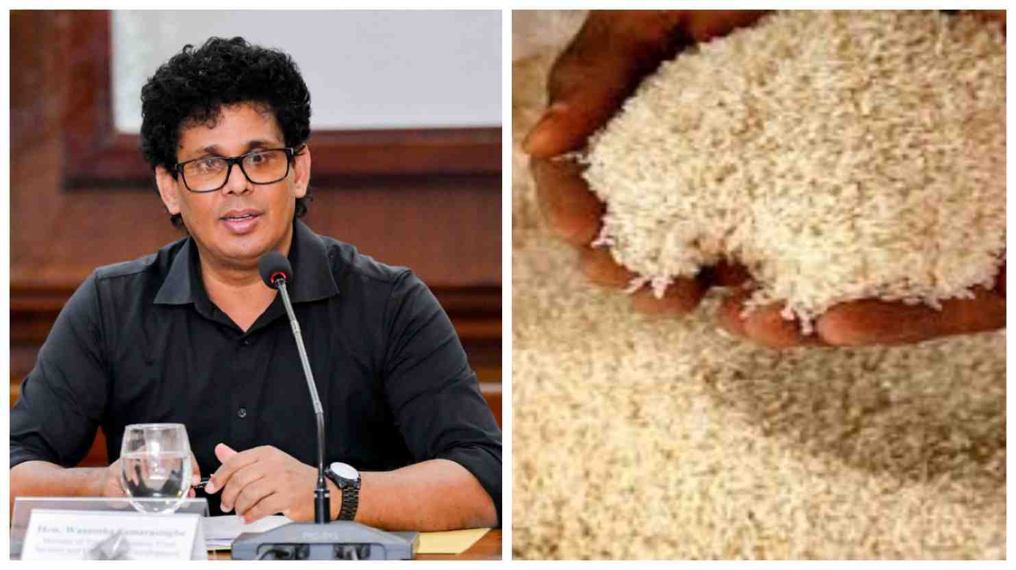 Sri Lanka to Import 40,000MT of Rice to substitute Kiri Samba