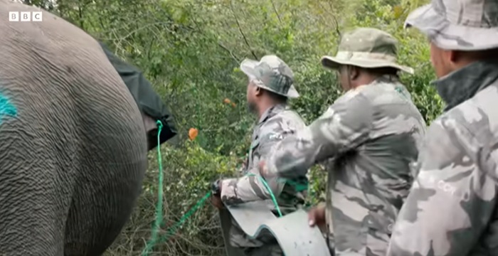 Prince William’s wildlife docuseries releases episode on Sri Lanka (Watch)