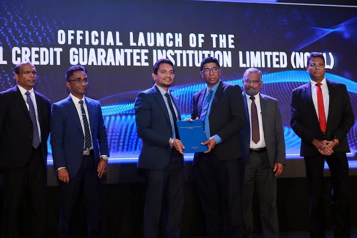 National Credit Guarantee Institution launched to support collateral-free loans