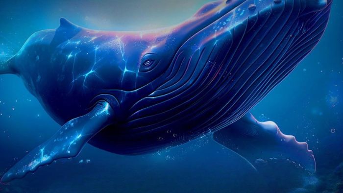 Blue Whale Mural to Highlight Marine Crisis in Sri Lanka