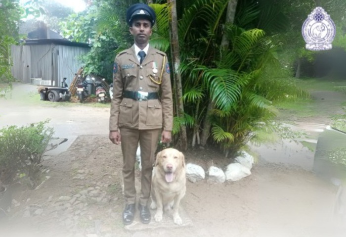 Police Sniffer Dog ‘Percy’ uncovers hidden heroin in Hikkaduwa