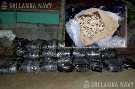 Nearly 3 tonnes of smuggled ginger seized in Norochcholai