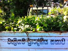 Shooting targets NPP Councillor’s home in Weligama