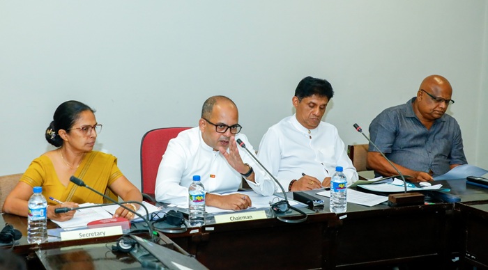 Parliamentary committee calls for LNG power plant price revisions