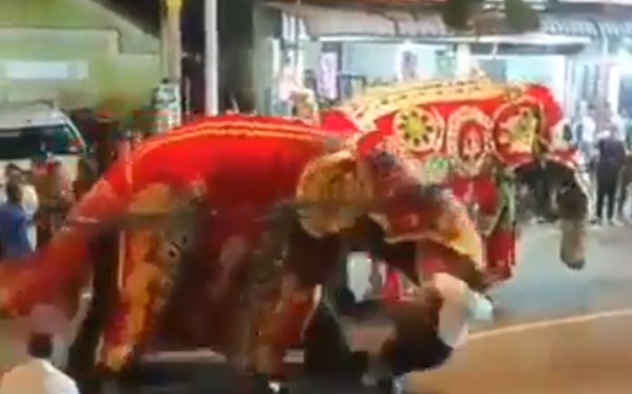 Elephant attacks mahout during Devinuwara Perahera (Video)