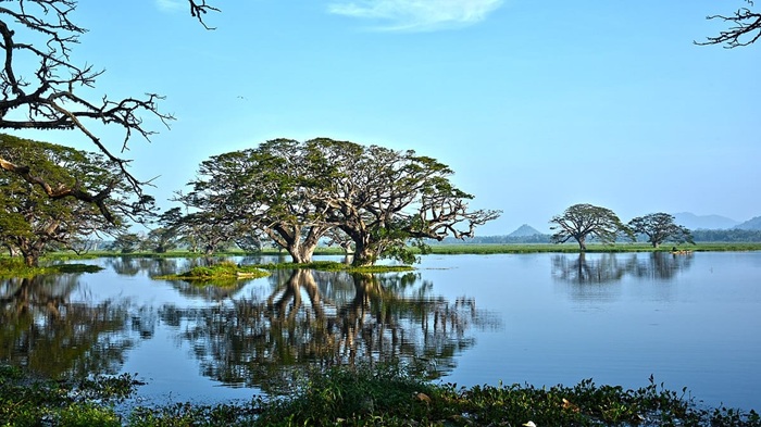 ‘Clean Sri Lanka’ program to mark boundaries of 23 tanks this year