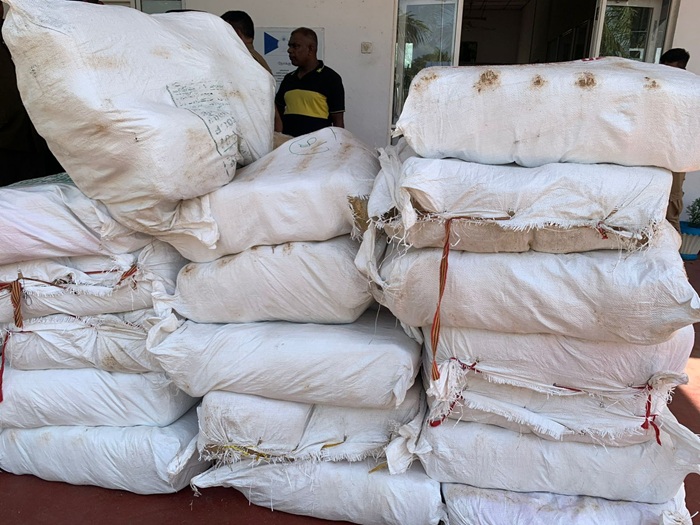 Navy seizes 896 kg of Kerala cannabis in Mannar