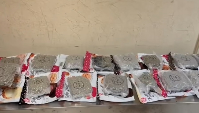 Indian national arrested at BIA with Rs. 85 million worth of Kush