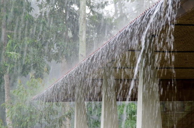 Weather: Above 50mm rain expected in several areas