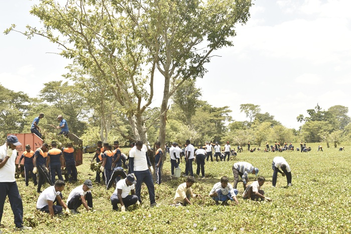 Govt launches ‘Kala Wewa Back to the Elephants’ project