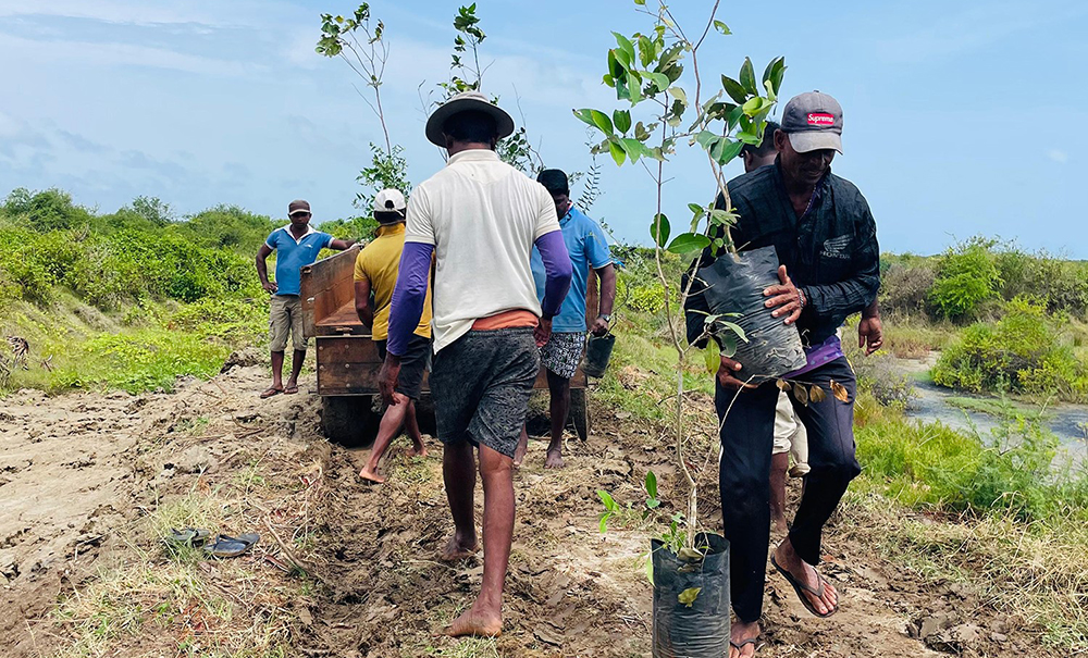 Dilmah Strengthens Sri Lanka’s Water & Ocean Stewardship
