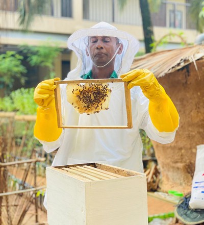 Beekeeping project at Anantara Kalutara Resort.