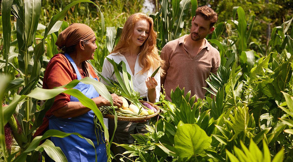 Freshly producing harvest from garden at Anantara Tangalle Resort.