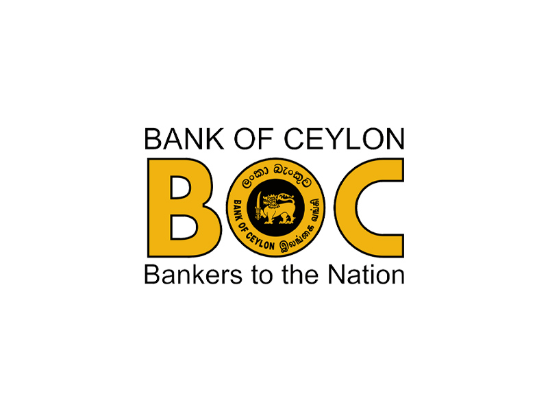 BOC to launch new IT subsidiary to drive digital expansion