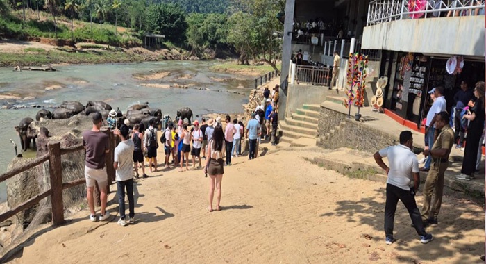 Pinnawala elephant baths resume at Ma Oya after cleanup