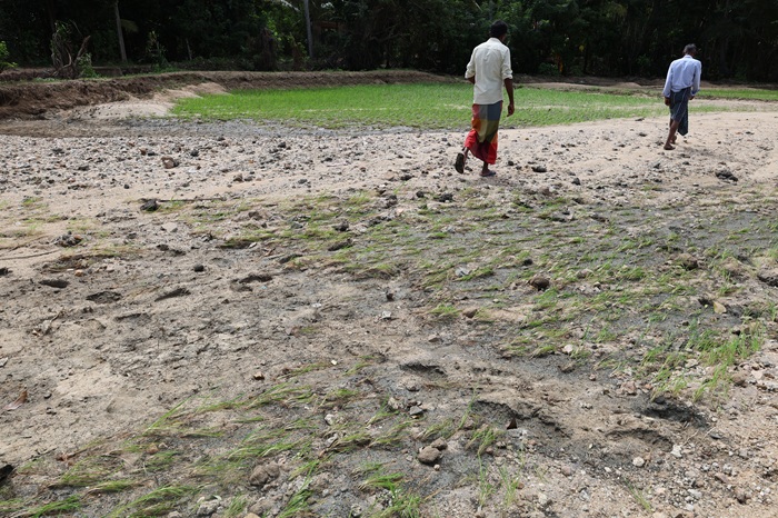 FAO launches $16.5m appeal for Sri Lanka’s cyclone-hit agrifood sector