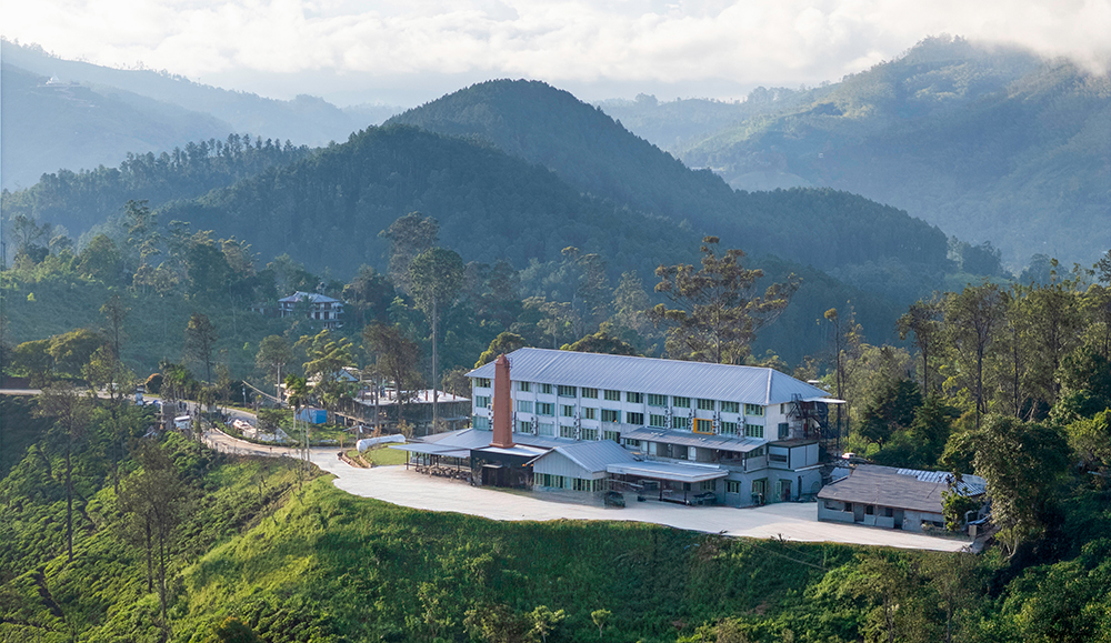 An aerial view of Newburgh Ella - The Tea Factory Resort set against the hills of Ella