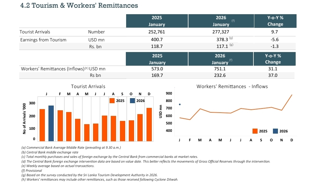 January tourism arrivals hit record high, but earnings decline