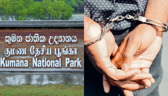 Six arrested over illegal wildlife hunting, meat smuggling in Kumana National Park