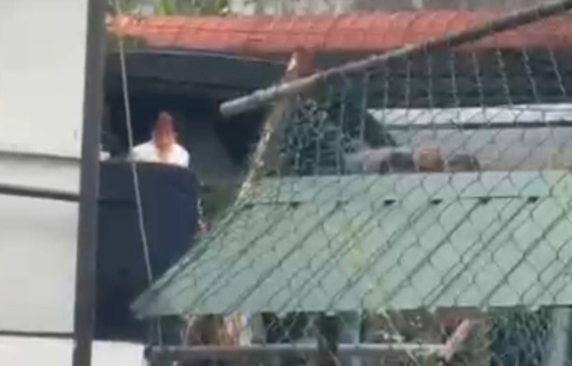 Young actress granted bail over gold chain dispute following complaint by cricketer