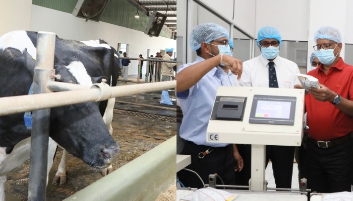 Govt to launch programmes to boost domestic milk production