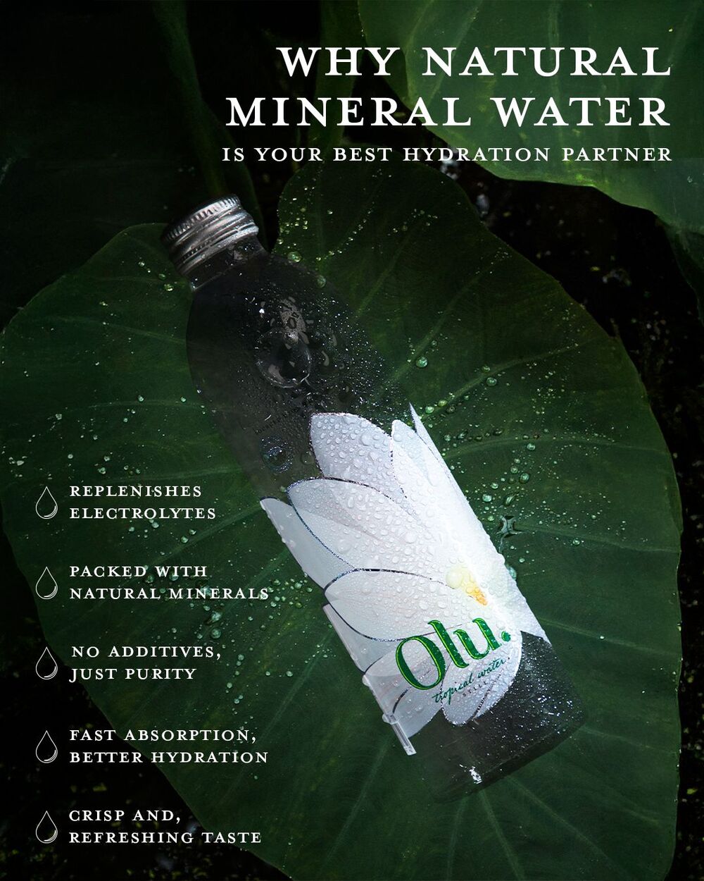 The Invisible Source: Rethinking Water, Nature, and Responsibility