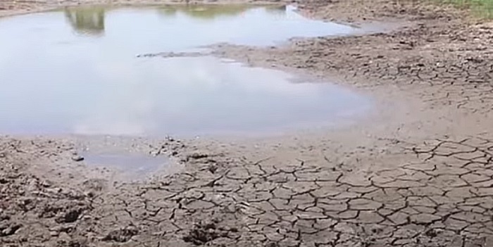 El Niño could trigger prolonged drought until September – Met Dept