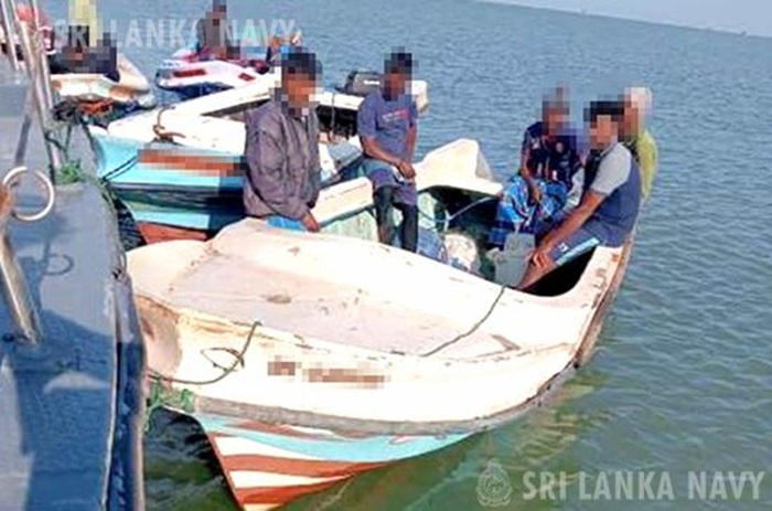 Navy nabs 36 suspects for illegal harvesting of sea cucumbers
