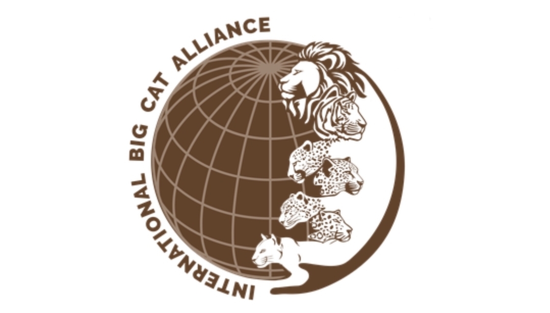 Sri Lanka agrees to join India-led International Big Cat Alliance