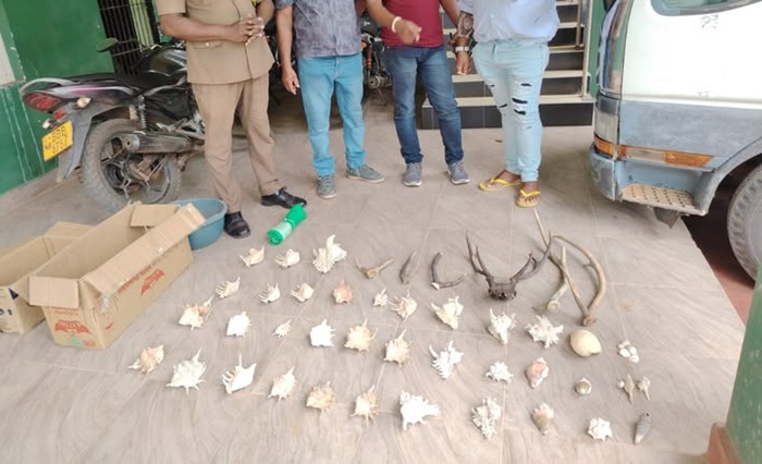 Four arrested in Galewela over possession of protected wildlife items