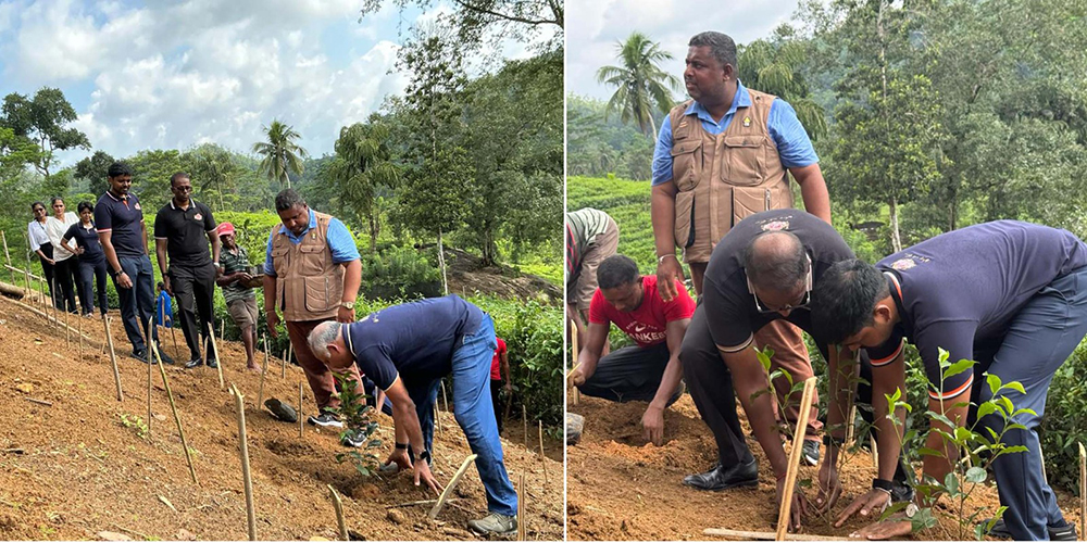 Basilur Tea celebrates International Tea Day with launch of ‘Roots of Ceylon’