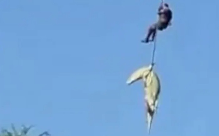 Watch : Police officer dangles over crocodile-infested waters to retrieve human remains