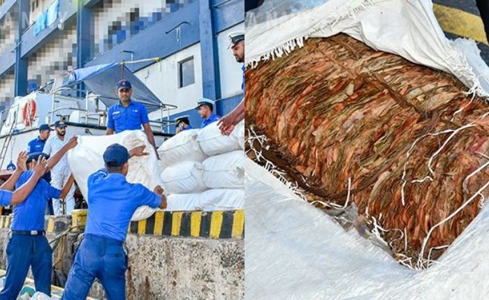 Navy seizes over 2,000 kg of smuggled Kendu leaves off Chilaw