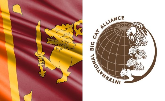 Sri Lanka welcomed to International Big Cat Alliance