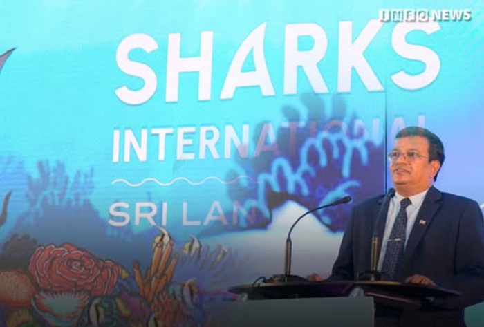 Global experts gather in Colombo for Sharks International 2026 Conference