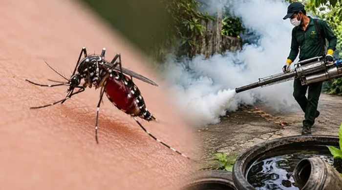 Three-day dengue control drive begins in high-risk areas today