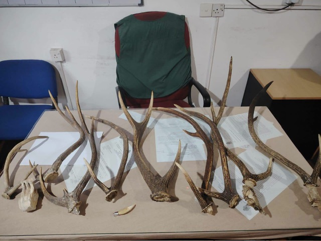 Suspect arrested with protected wildlife parts in Galewela
